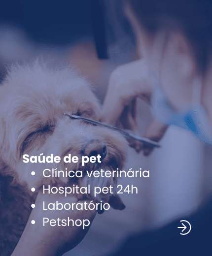 Sistema erp para clinica veterinaria